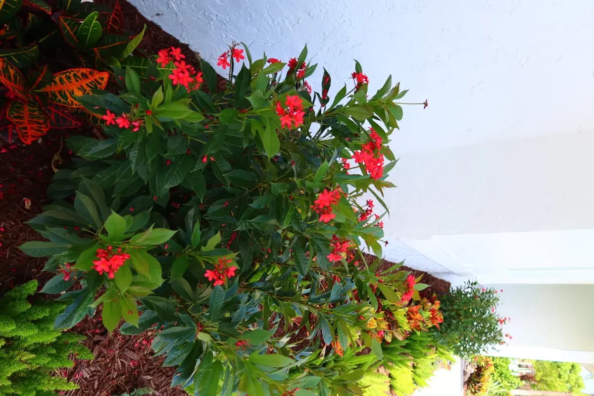 Completed landscape project