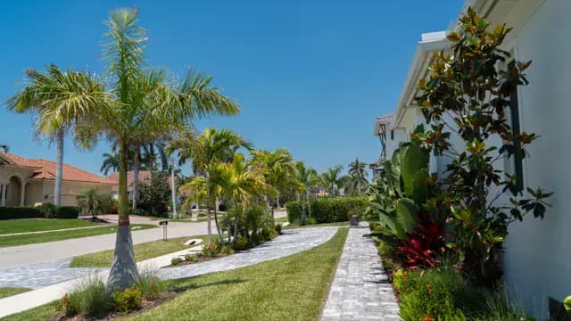 Tree & Shrub Care project preview